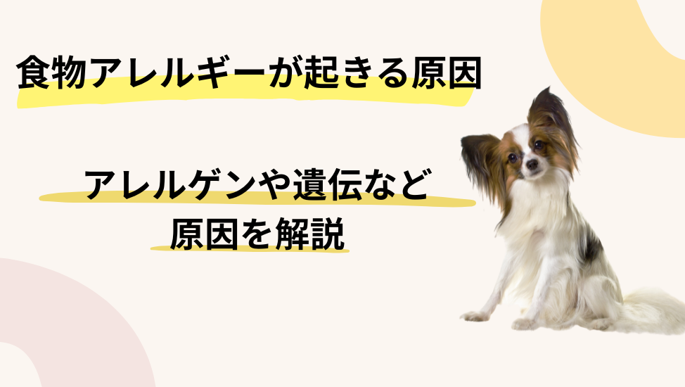 食物アレルギーが起こる原因