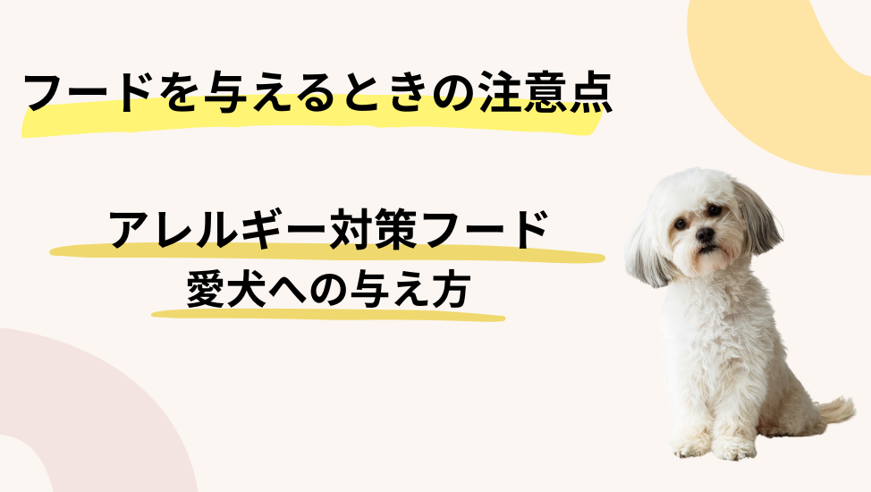 アレルギー対応フードを与えるときの注意点