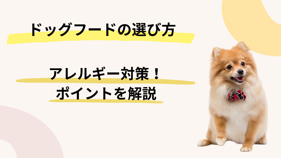 アレルギー対策フードの選び方