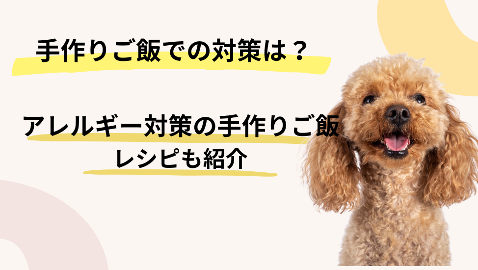 アレルギー対策の手作りご飯