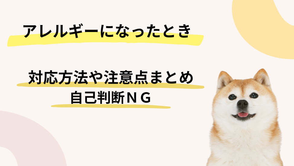アレルギーになったときの注意点