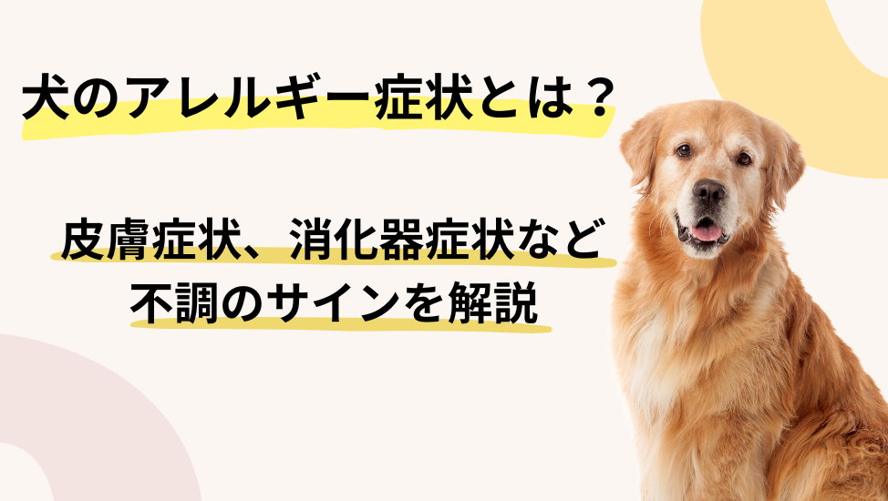犬の食物アレルギー症状とは