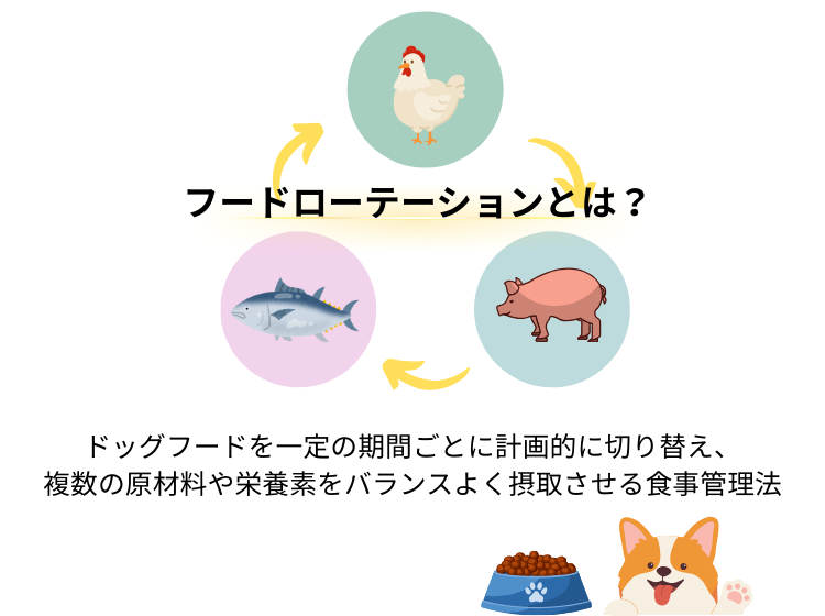 フードローテーションとは？
