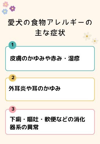 愛犬の食物アレルギーの主な症状
