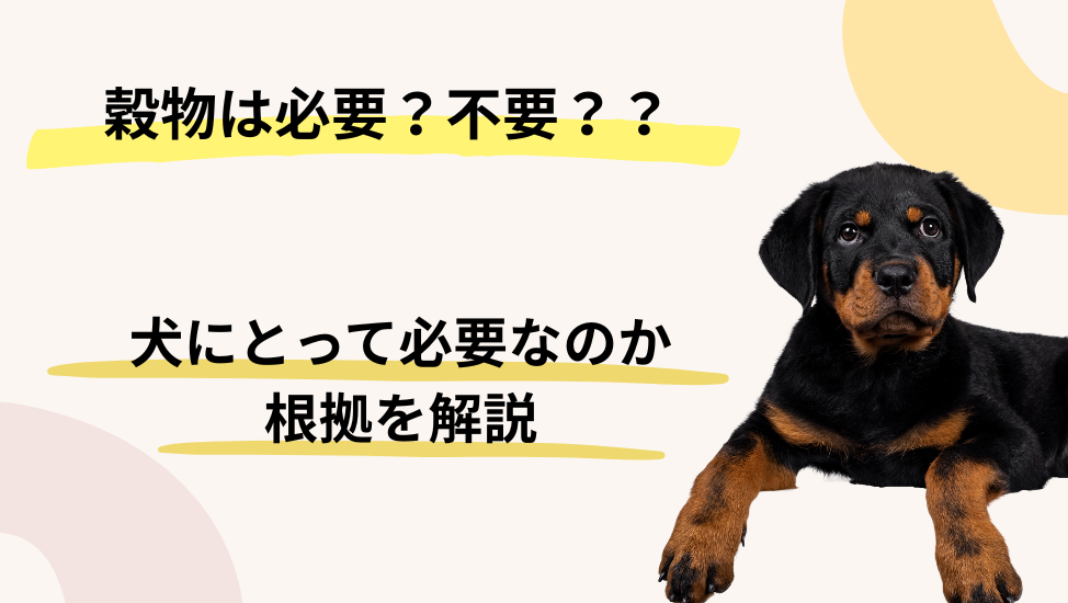 犬にとって穀物は必要？不要？