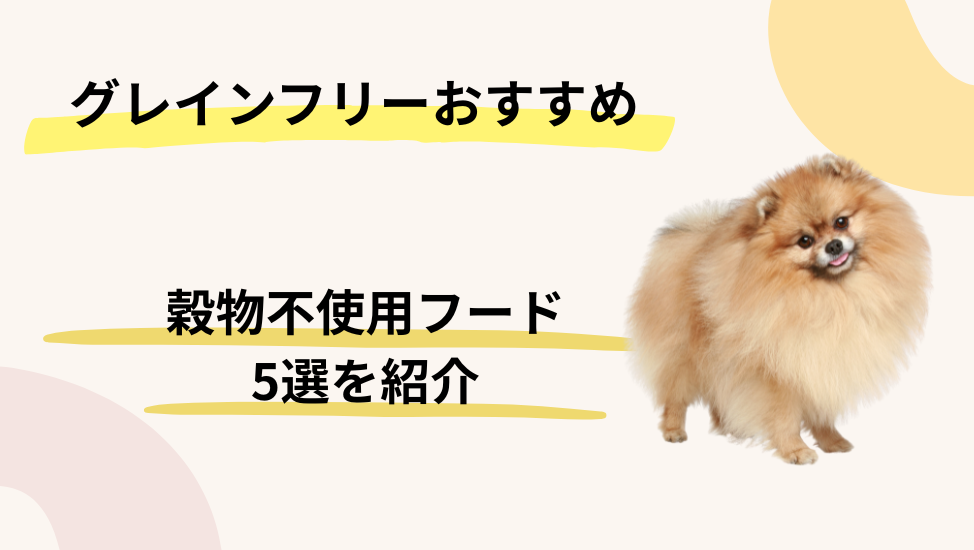 おすすめのグレインフリー（穀物不使用）ドッグフード5選