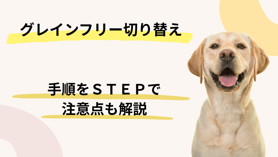 グレインフリー（穀物不使用）のドッグフードへ切り替える手順