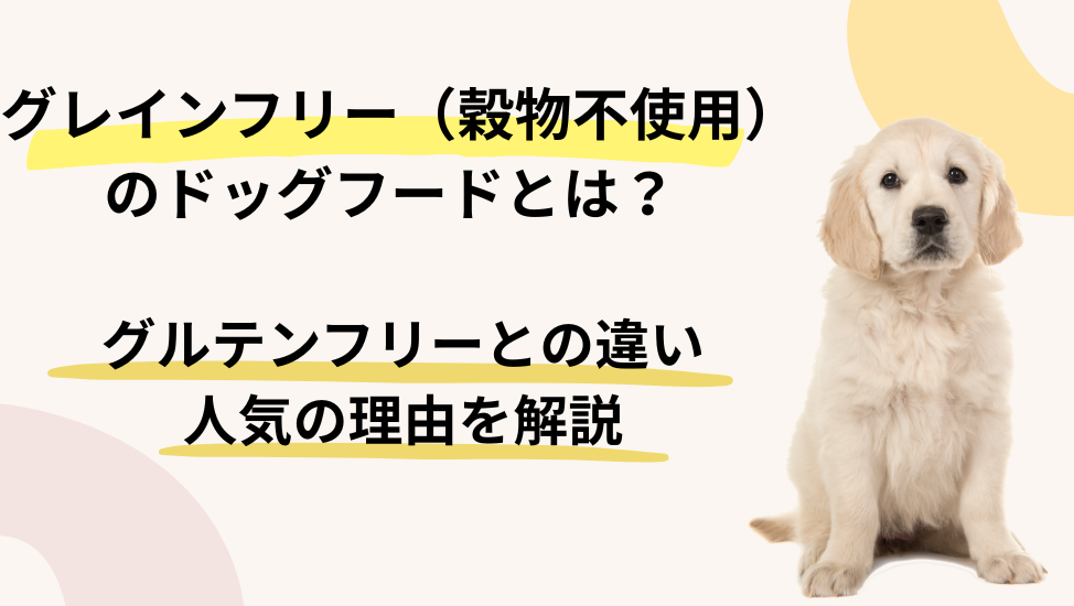 グレインフリー（穀物不使用）のドッグフードとは？