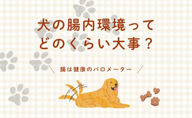 犬の腸内環境が乱れるとどうなる？