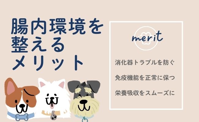 犬の腸内環境を整えるメリット