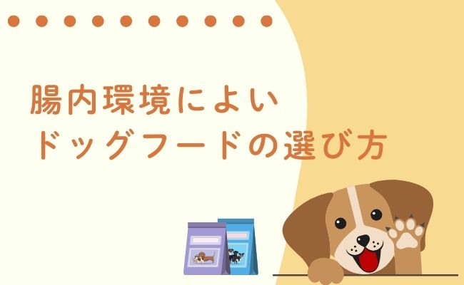 腸内環境によいドッグフードの選び方