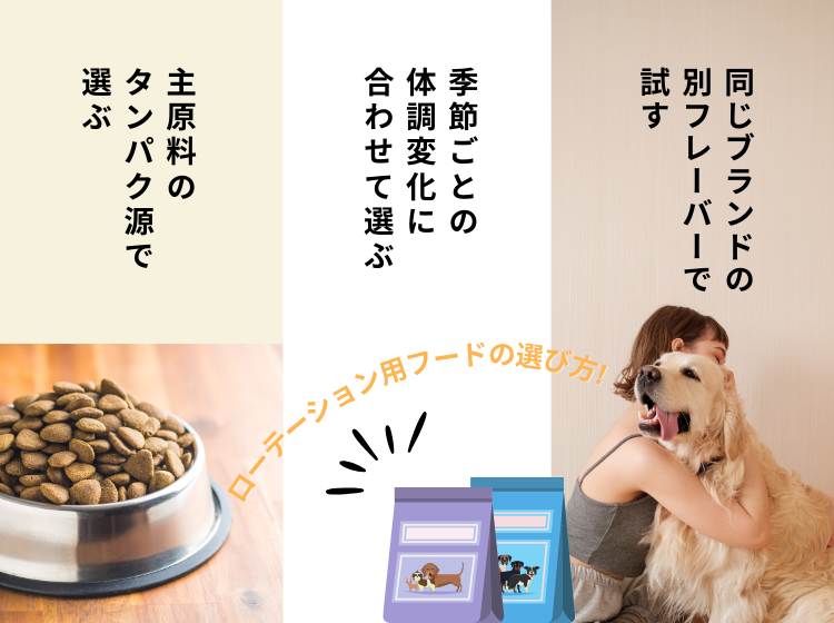 ドッグフードの選び方