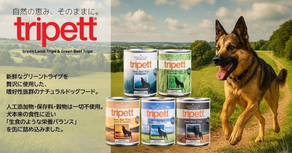 トライペット　イメージ画像