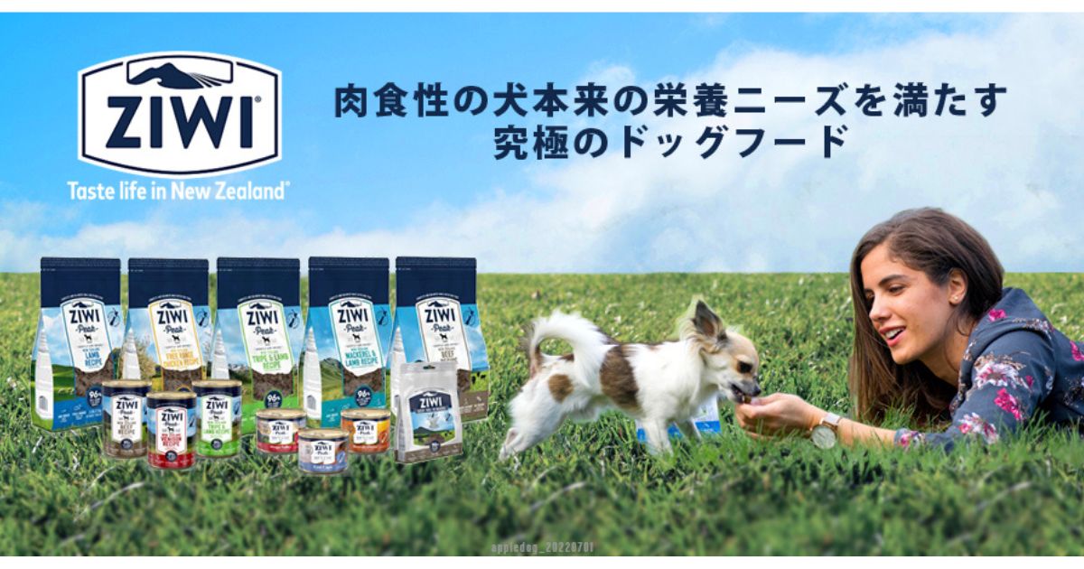 ジウィピーク