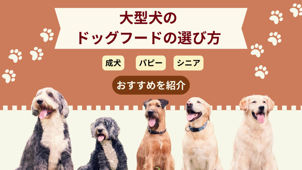 大型犬のドッグフードの選び方アイキャッチ