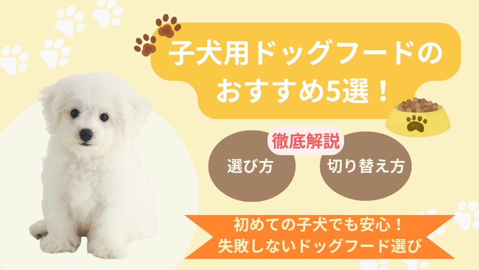 子犬のドッグフード選び方記事アイキャッチ