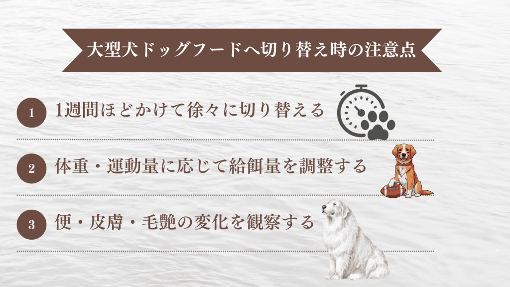 大型犬ドッグフードへ切り替え時の注意点と与え方