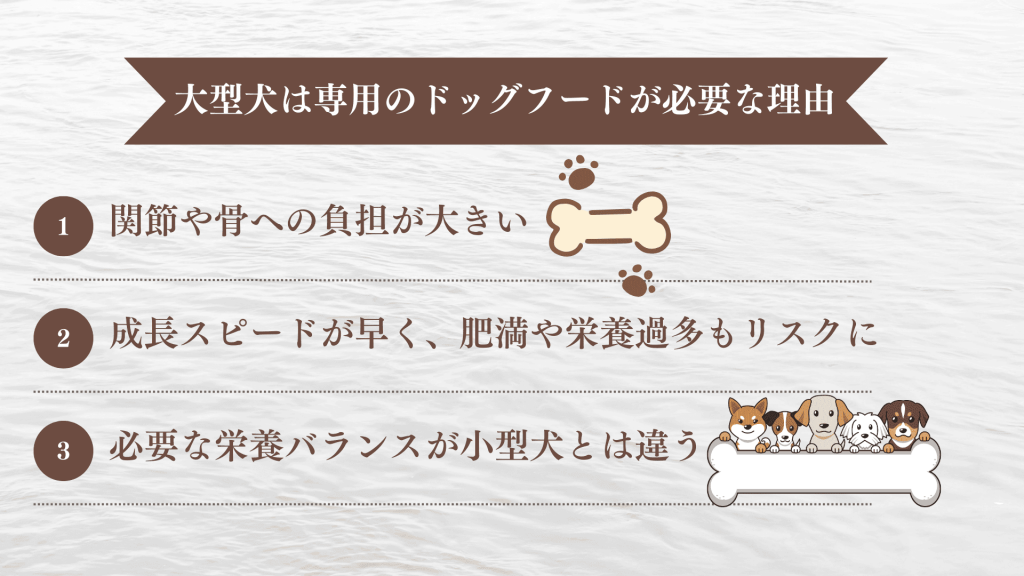 大型犬には専用のドッグフードが必要!その理由を解説
