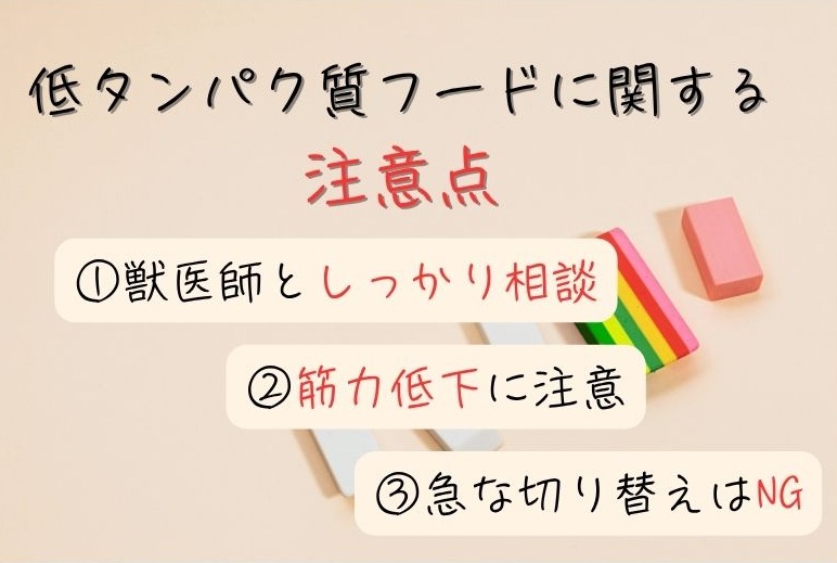 低タンパク質フードに関する注意点