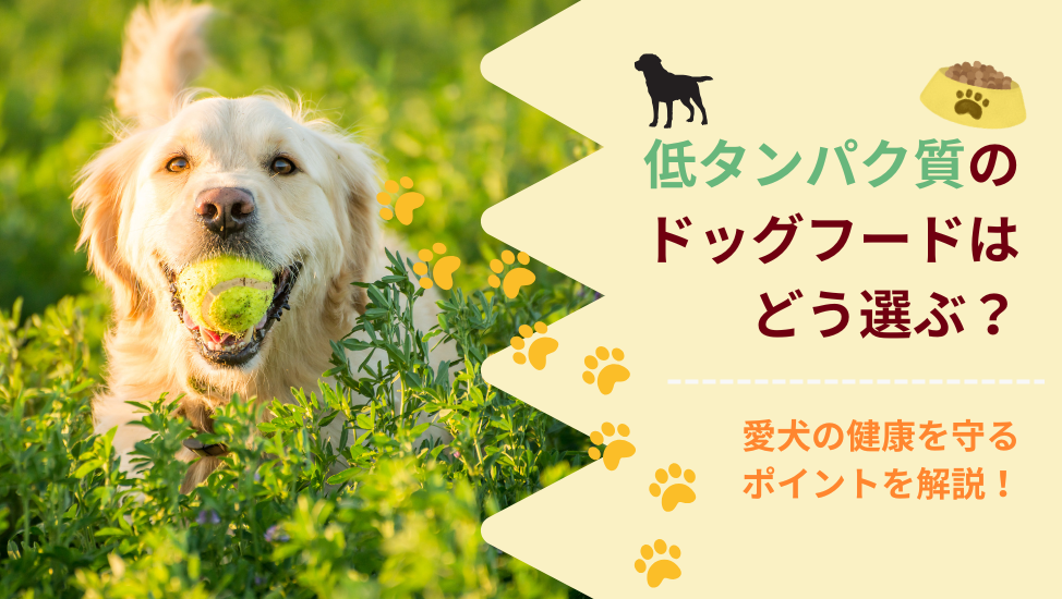 低タンパク質ドッグフードの生地アイキャッチ