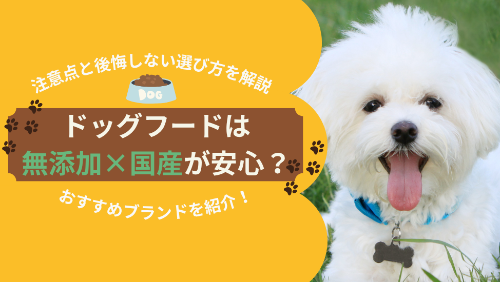 無添加国産ドッグフードについての記事アイキャッチ