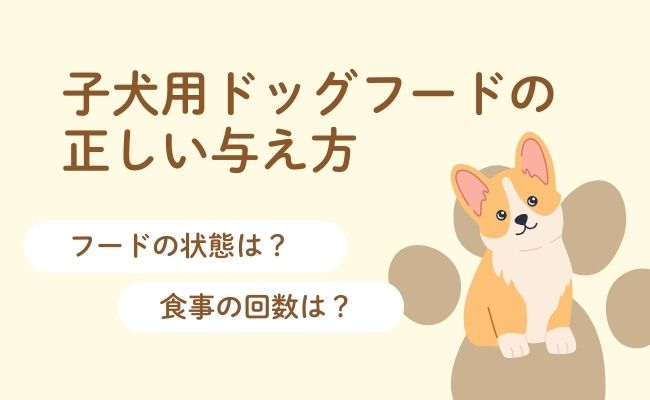 【前提】子犬用ドッグフードの正しい与え方