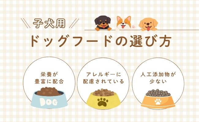 子犬用ドッグフードのおすすめの選び方