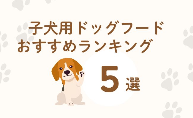 子犬用ドッグフードのおすすめランキング5選!【本当に良いもの】
