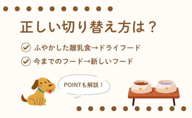 ドッグフードの正しい切り替え方