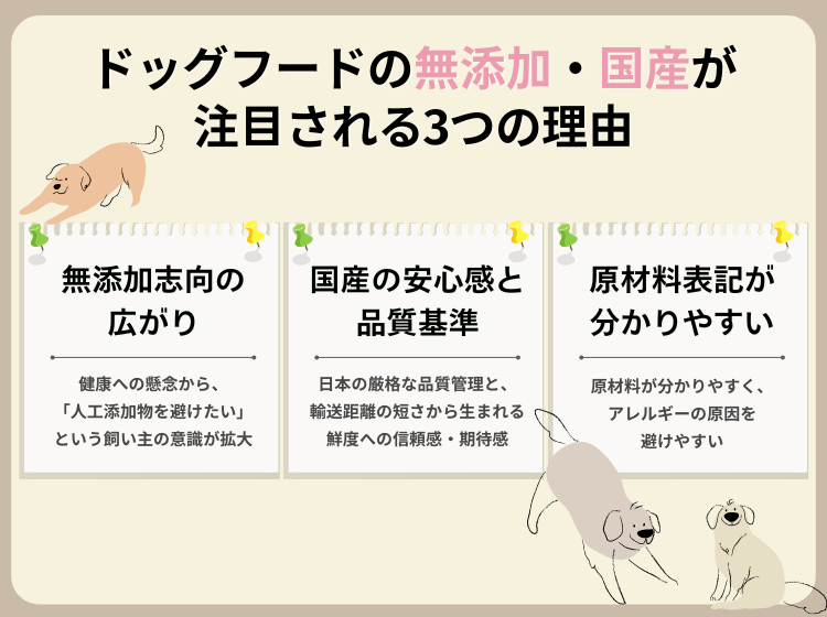 ドッグフードの「無添加」と「国産」が注目される3つの理由