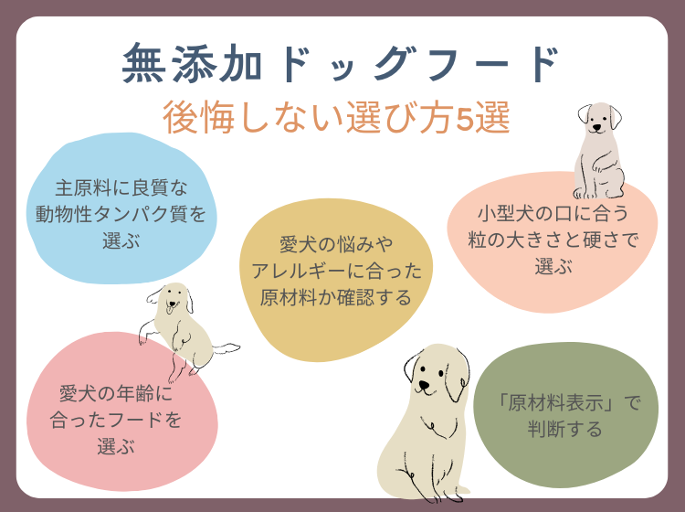 無添加ドッグフードの後悔しない選び方5選