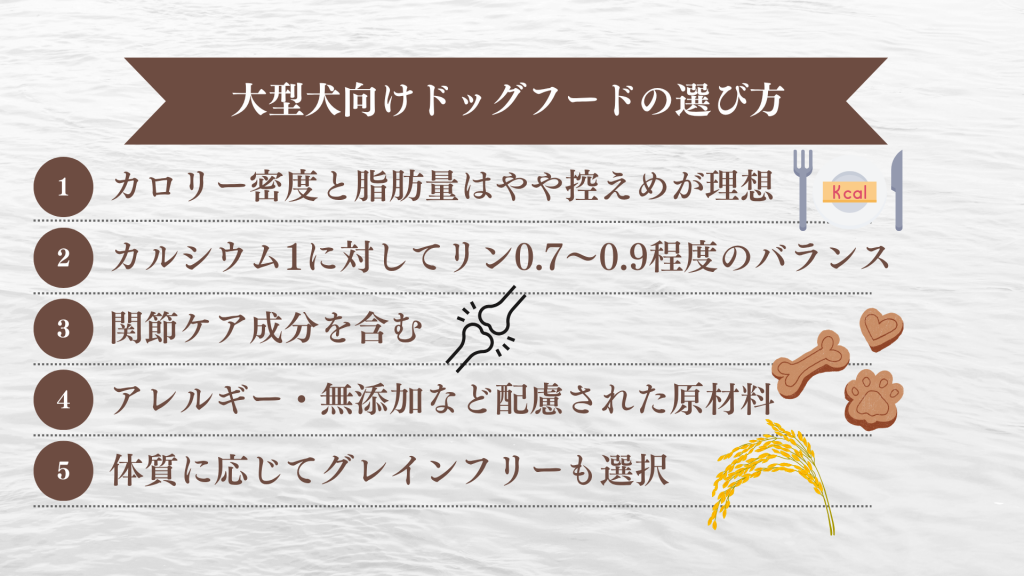 大型犬向けドッグフードの5つの選び方