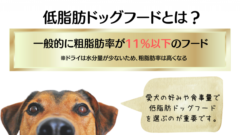 低脂肪ドッグフードとは?粗脂肪率をチェック!