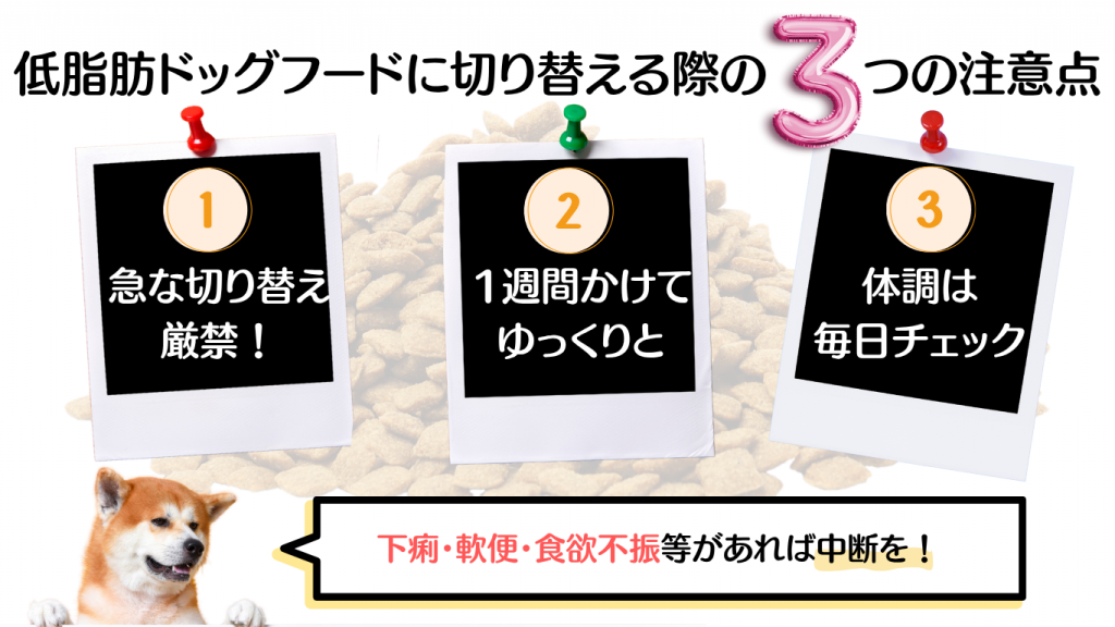 低脂肪ドッグフードに切り替える際の3つの注意点