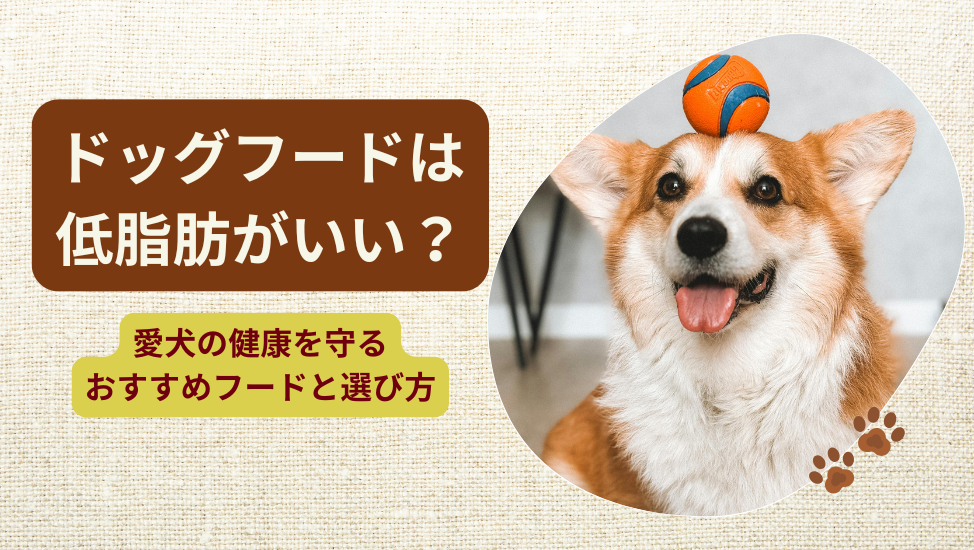 ドッグフードは低脂肪がいい？アイキャッチ