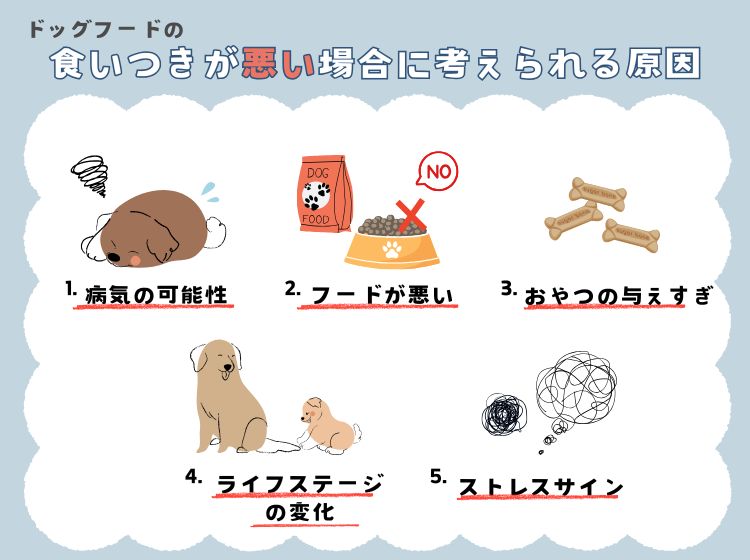 食いつき悪い原因