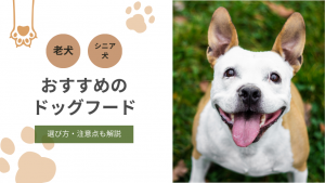 シニア犬・老犬におすすめのドッグフード｜選び方や注意点を解説