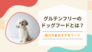 グルテンフリーのドッグフードとは？選び方とおすすめフード7選