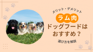 ラム肉ドッグフードはおすすめ？メリット・デメリットや選び方を解説