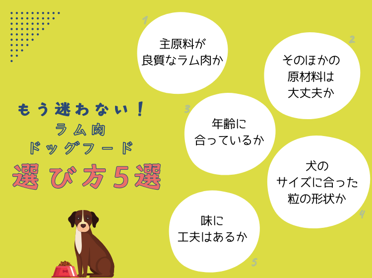 ラム肉ドッグフードの選び方