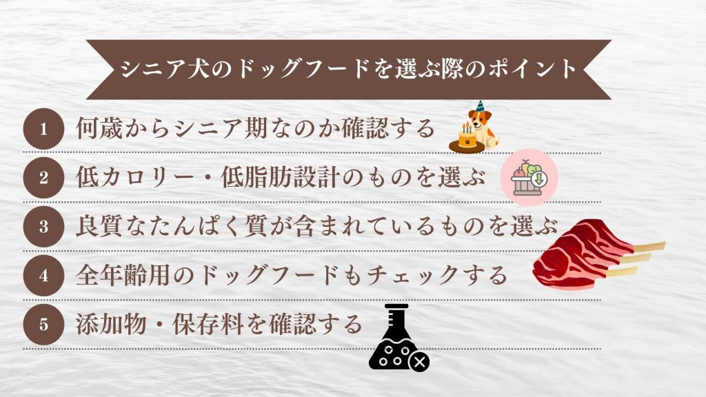 シニア犬のドッグフードを選ぶ際の5つのポイント