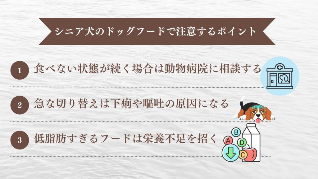 シニア犬のドッグフードで注意するべきポイント