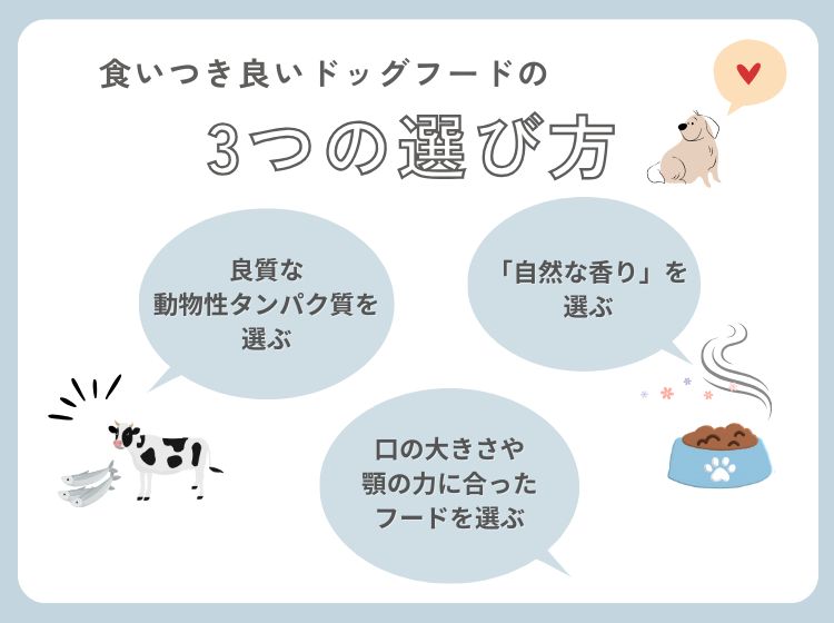 食いつきが良いドッグフードの選び方
