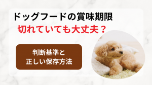 ドッグフードの賞味期限は切れていても大丈夫？判断基準と正しい保存方法を徹底解説！