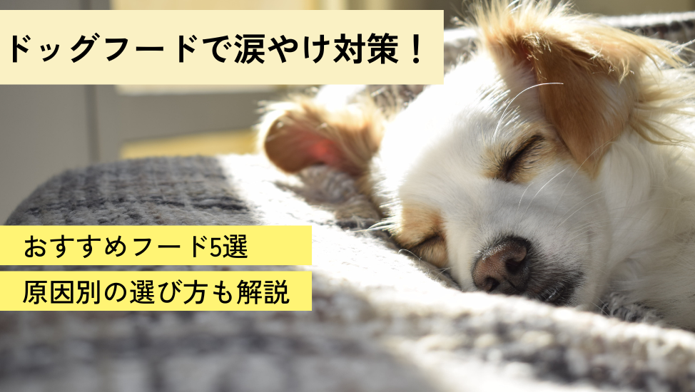 ドッグフードで涙やけ対策！おすすめフード5選｜原因別の選び方も解説
