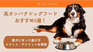 高タンパクドッグフードおすすめ5選！愛犬に合った選び方とメリット・デメリットを解説