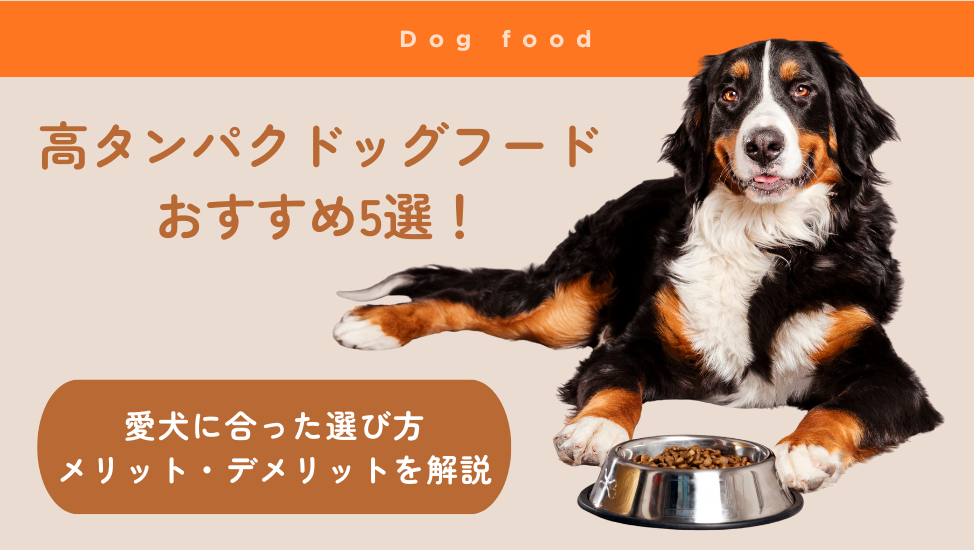 高タンパクドッグフードおすすめ5選！愛犬に合った選び方とメリット・デメリットを解説