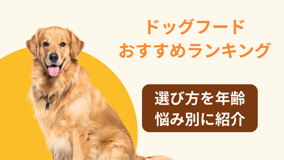 ドッグフードおすすめランキング10選｜選び方と年齢・悩み別に紹介